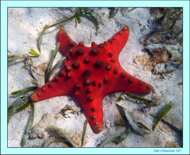 2009    07    Manatabuan 09